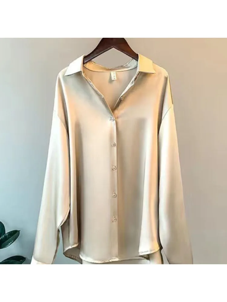 플러스 사이즈 캐주얼 여성 실크 셔츠 2025 새로운  - Silk Blouse 리뷰 및 가격